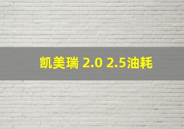 凯美瑞 2.0 2.5油耗